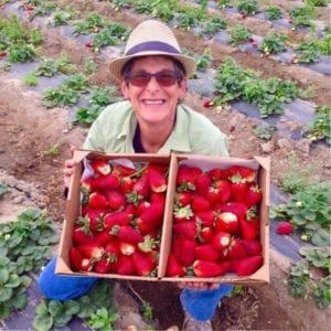 Carolyn Kates with crates of strawberries